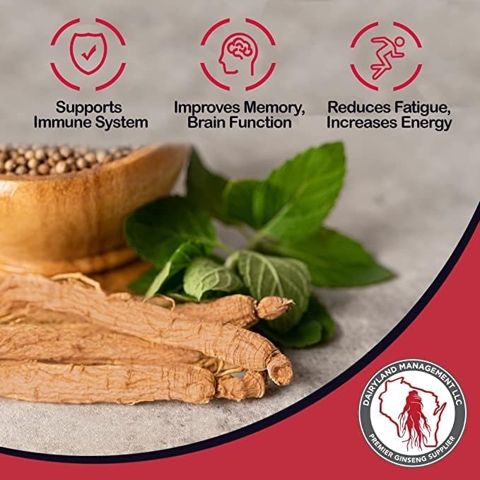 Dairyland Management Pure Panax Notoginseng Powder – 100% natural, mejora el bienestar Tienchi Powder – Ideal para batidos, tés, remedios herbales –