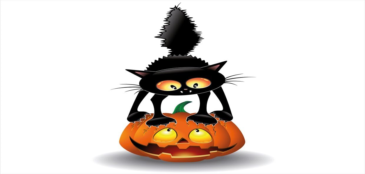 Ambesonne Taza de Halloween, diseño de gato negro sobre calabaza, personajes de dibujos animados espeluznantes, arte de humor de Halloween, taza de