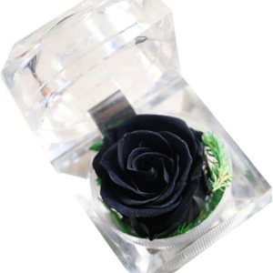 Gadpiparty Rosa preservada en una caja, regalo de rosa eterna en cúpula de cristal con cinta preservada para aniversario, cumpleaños, día de San Gadpiparty Rosa preservada en una caja, regalo de rosa eterna en cúpula de cristal con cinta preservada para aniversario, cumpleaños, día de San