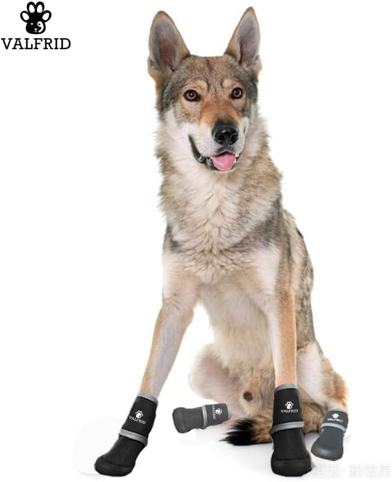 Zapatos para perro, botas de lluvia impermeables para invierno y días nevados, pavimento caliente de verano, botines para perros pequeños, medianos