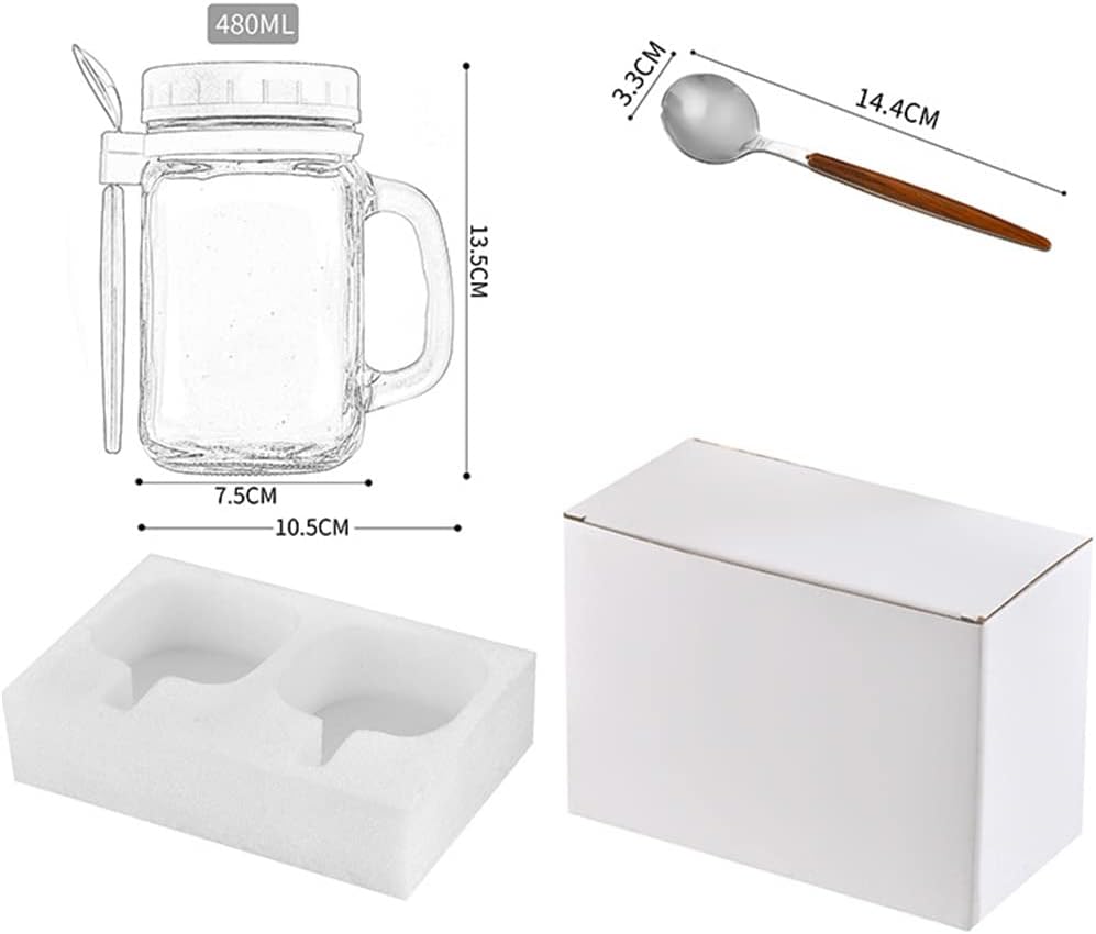 Tarros de avena con cuchara y tapa, paquete de 2 tarros de avena de vidrio de 16.2 onzas con asa, tarros herméticos de gran capacidad para frutas,