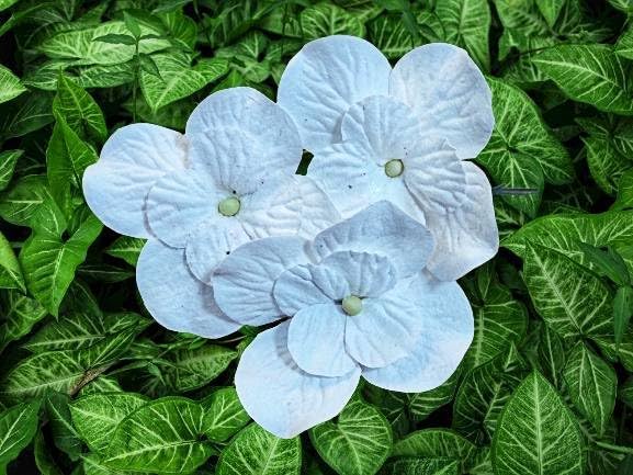 JAKAPAN Flores de hortensias de papel de morera, flores artificiales con tallos de alambre para bodas, fiestas, decoración del hogar, adornos de