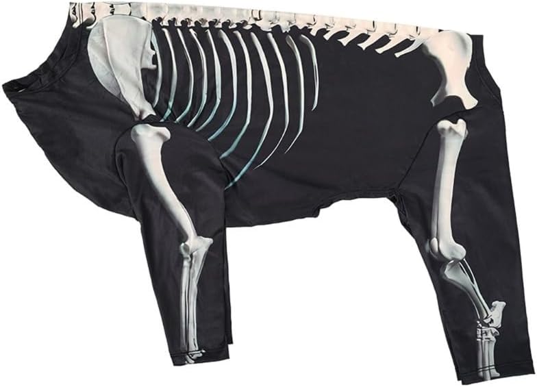 Disfraces de Halloween para perro, disfraz de Halloween para mascotas para perros y gatos, disfraz de esqueleto de Halloween para perro, ropa,
