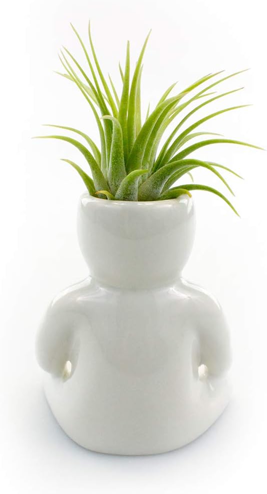 Maceta de cerámica blanca de 3.25 pulgadas con forma de persona con planta de aire Tillandsia viva, plantas de aire de interior en maceta para