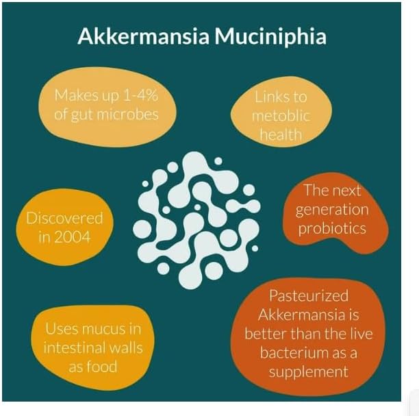 AkkeDigestive Health – Probiótico Akkermansia de 5 mil millones de TFU para reparación intestinal con fugas, GLP-1 e inmunidad, prebióticos y