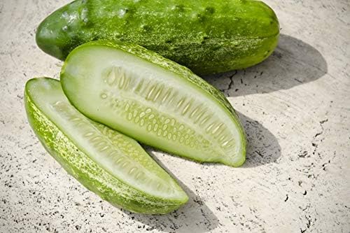 Semillas nacionales de pepino encurtido para plantar, más de 75 semillas tradicionales por paquete, semillas de jardín de Isla (semillas de jardín