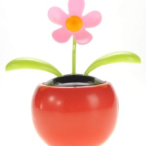 Az Trading y Import SFTP, solar flor juguete Az Trading y Import SFTP, solar flor juguete