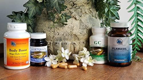 Suplemento multivitamínico y mineral sin hierro con súper verdes y enzimas digestivas – Body Boost de Alternative Health Research