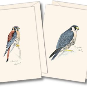 Earth Sky + Water – Juego surtido de tarjetas de notas Sibley Raptor – 8 tarjetas en blanco con sobres (4 de cada uno de 2 estilos) Earth Sky + Water – Juego surtido de tarjetas de notas Sibley Raptor – 8 tarjetas en blanco con sobres (4 de cada uno de 2 estilos)