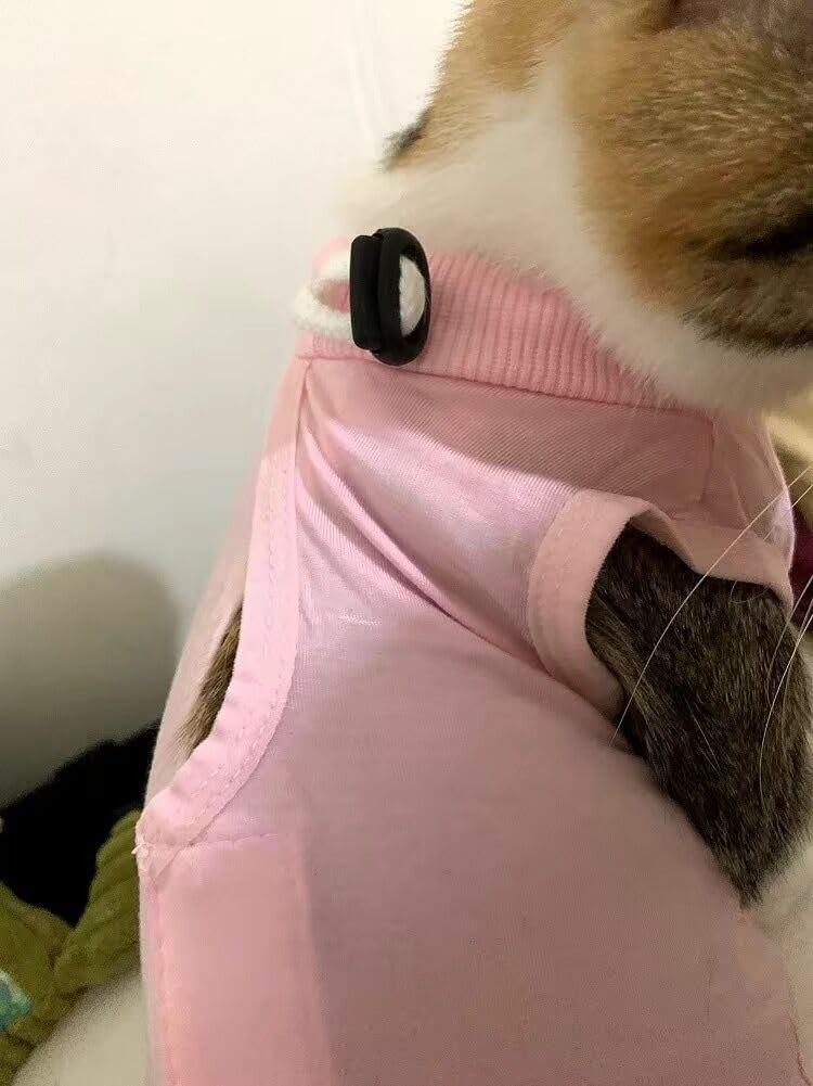 Traje de recuperación de gato para mascotas, collar alternativo para gatos, talla L