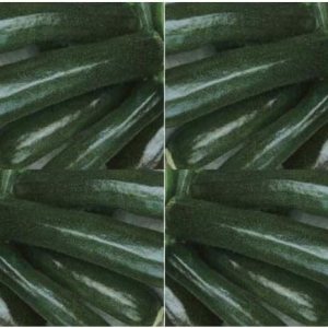 Black Beauty calabacinesSemillas de calabaza veranogran saborexcelente sabor erecto plantas58días (250semillas1OZ) Black Beauty calabacinesSemillas de calabaza veranogran saborexcelente sabor erecto plantas58días (250semillas1OZ)