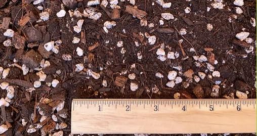 De La Tanks – Mezcla de plantas de casa de 16 cuartos de galón  Suelo de plantas de interior de primera calidad, tierra superior para macetas de