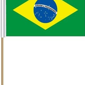 Brasil Brasil Grande 12 X 18 Pulgadas PaÃs Stick Bandera Bandera En Un 2 Pies De Madera Palillo.. Poliéster Nuevo Brasil Brasil Grande 12 X 18 Pulgadas PaÃs Stick Bandera Bandera En Un 2 Pies De Madera Palillo.. Poliéster Nuevo