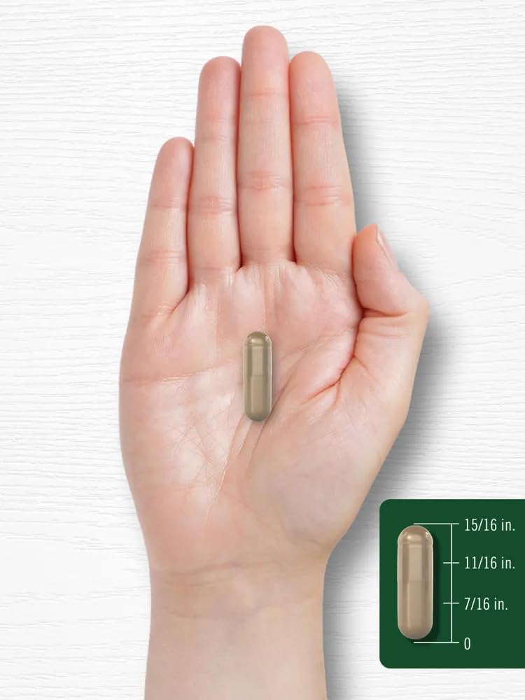 Carlyle Cápsulas de extracto de ginseng coreano de 2000 mg  200 cápsulas  Fórmula sin OMG y sin gluten  Suplemento estandarizado de Panax Ginseng