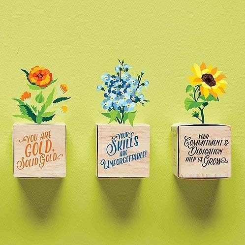 Cubo de planta padre