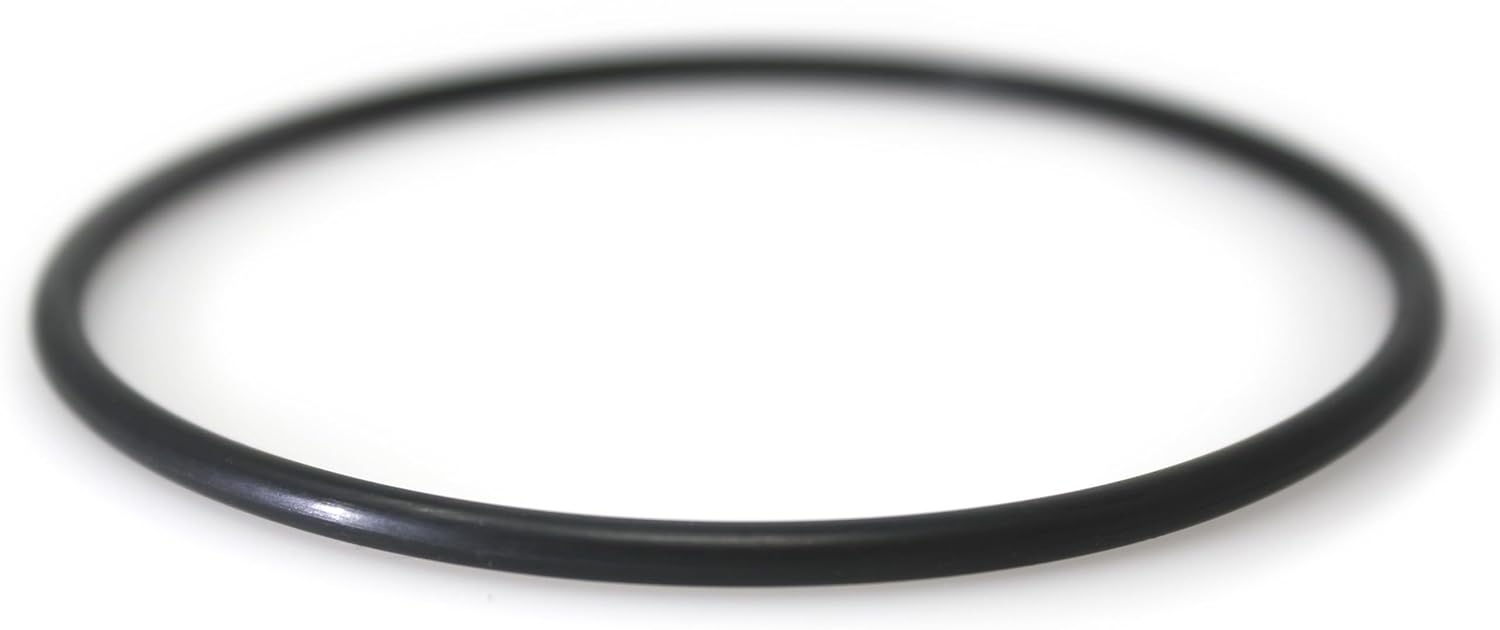 Junta tórica compatible con Pentek 151122 para filtros de agua azul grande y más (paquete de 1)