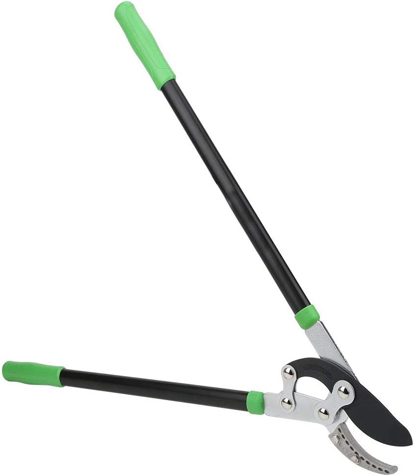 Fydun Large Force Garden Scissor Thick Tree Pruning Shears Bra Cutter Orchard Gardening Tool Large Force Garden Scissor for Family