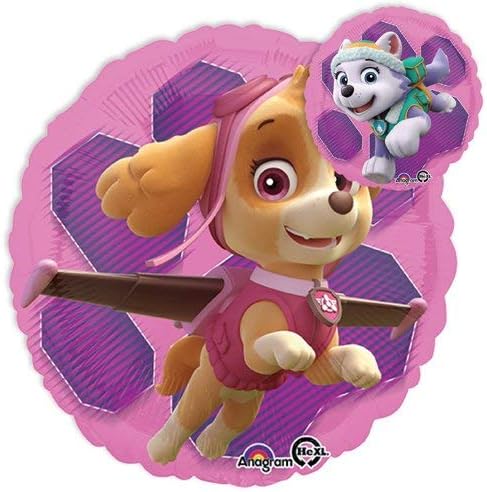 Suministros de fiesta de rescate en patrulla de Paw Girl Pups – Decoraciones de ramo de globos para el primer cumpleaños