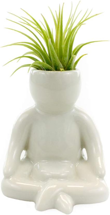 Maceta de cerámica blanca de 3.25 pulgadas con forma de persona con planta de aire Tillandsia viva, plantas de aire de interior en maceta para