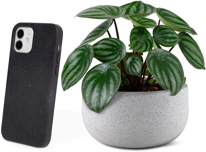 Funda para iPhone 12 (6.1), funda para iPhone 12 Pro (6.1), ecológica, compostable cero residuos, materiales a base de plantas, sin plástico (negro)