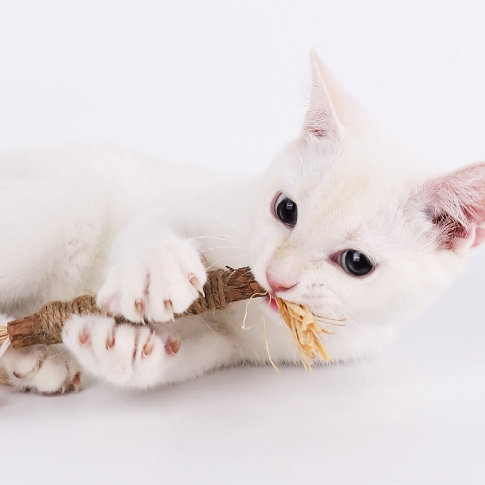 6 unidades de palitos de limpieza de dientes de gato, palitos para masticar gateras, palitos interactivos para tratar para interiores, palitos de