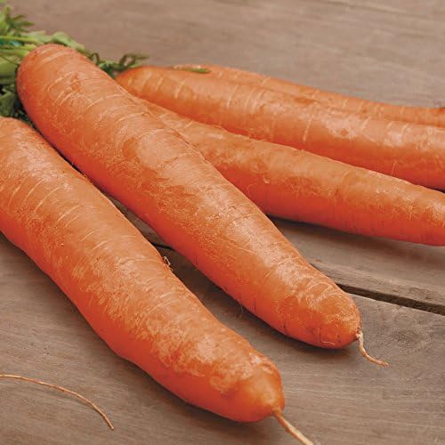 Park Seed Cinta de semillas de zanahoria Little Dear, fácil de cultivar, 15 pies de cinta