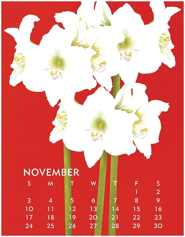 Linnea Design Calendario de póster 2024, 11 x 14 pulgadas, ilustraciones de Johanna Riley