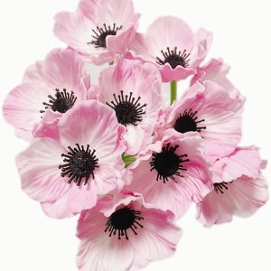 10 ramos de flores artificiales de 11 pulgadas, flores de amapola, no se decoloran, flores silvestres falsas de poliuretano para mesa de cocina, 10 ramos de flores artificiales de 11 pulgadas, flores de amapola, no se decoloran, flores silvestres falsas de poliuretano para mesa de cocina,