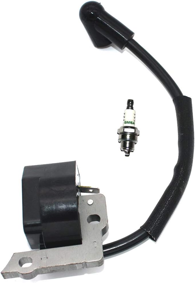 Módulo de encendido EWith Bujía BM6A para Ryobi RY09460 RY13010 RY34000 RY34420 RY34421 RY34440(S430) RY34441 RY64400 FY09440 RY34001 RY34001