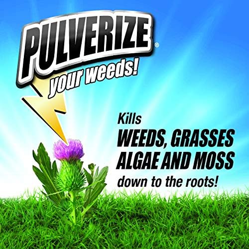 Pulverize PWG-UT-128 herbicida listo para usar, 1 unidad (paquete de 1), transparente