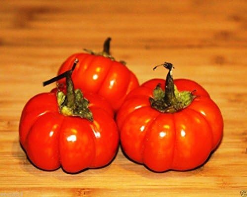 Berenjena Goyo Kumba, perfecta para el macizo de flores y el huerto, de África (30 semillas)