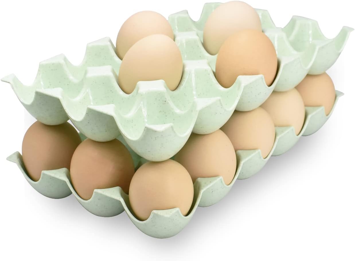 Soporte para bandeja de huevos para refrigerador, cesta de plástico para 15 huevos para nevera, caja organizadora de almacenamiento de cocina, plato