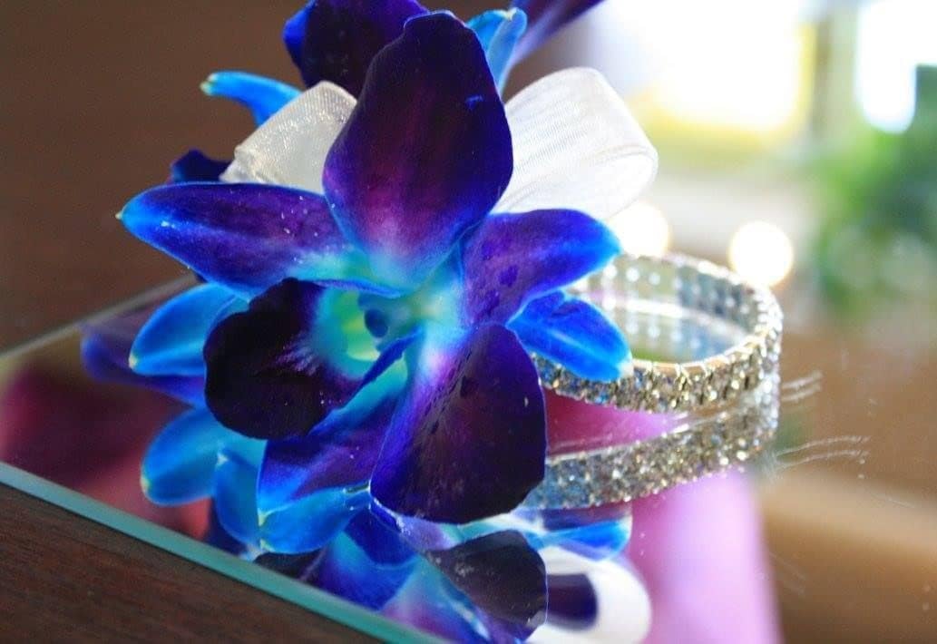 Miami Fresh Orchid Flower OrchidClub USA Sunne Tropical Loose Bloom DIY Lei, decoración de alimentos y bebidas (50 azul)