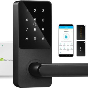 Cerradura inteligente WiFi con puerta de entrada, cerradura de puerta de entrada sin llave, cerradura inteligente para puerta delantera, cerradura Cerradura inteligente WiFi con puerta de entrada, cerradura de puerta de entrada sin llave, cerradura inteligente para puerta delantera, cerradura