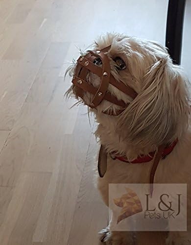 L&J Pets Uk Bozal para perro Shih Tzu, Pug y otros perros de hocico corto de cara plana (cuero marrón, MA 1)