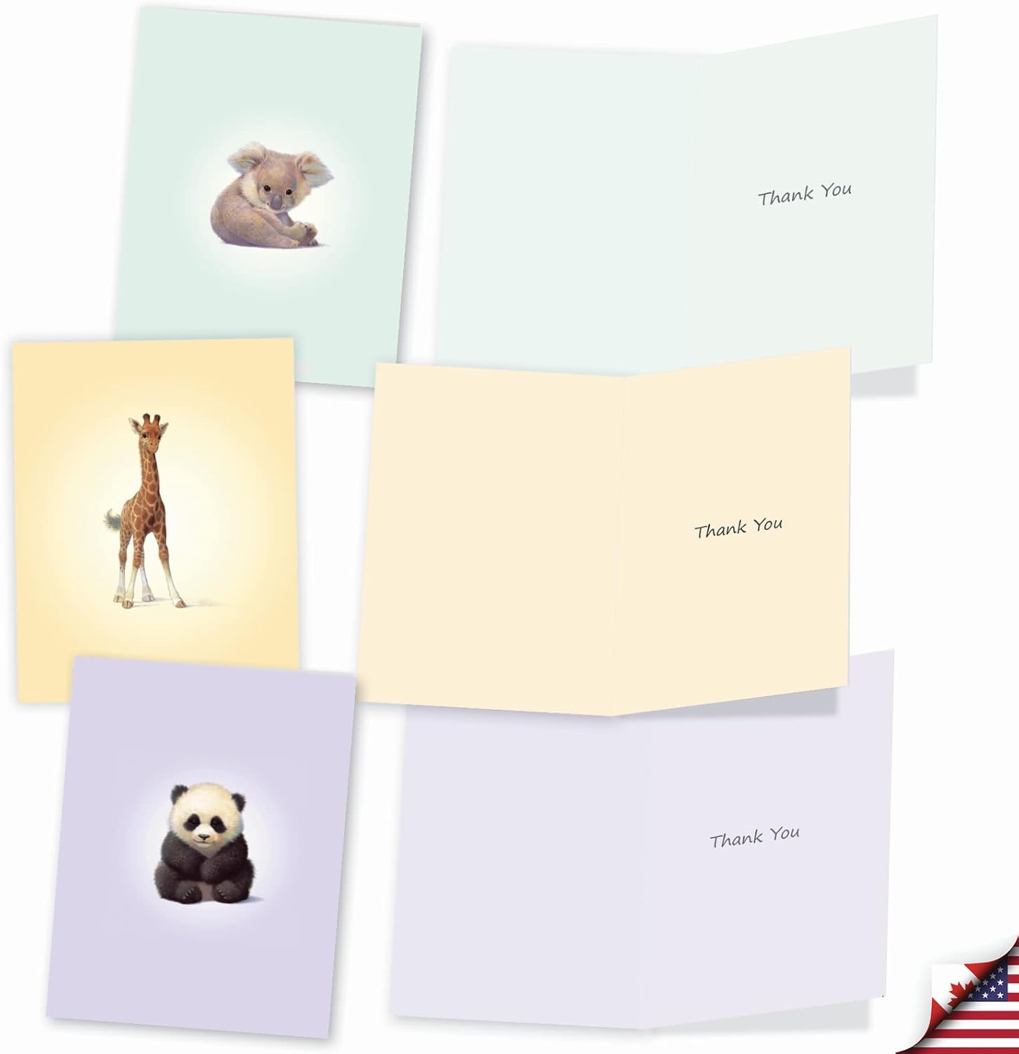 The Best Card Company, Zoo Babies – 10 tarjetas de agradecimiento en caja (4 x 5.12 pulgadas) – Animal Baby Thank Yous con sobres M6726TYG