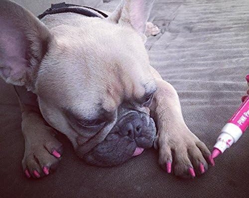 Lápiz de pedicura Warren London Pawdicure, esmalte de uñas para perro, paquete de de 1, Anaranjado Neón