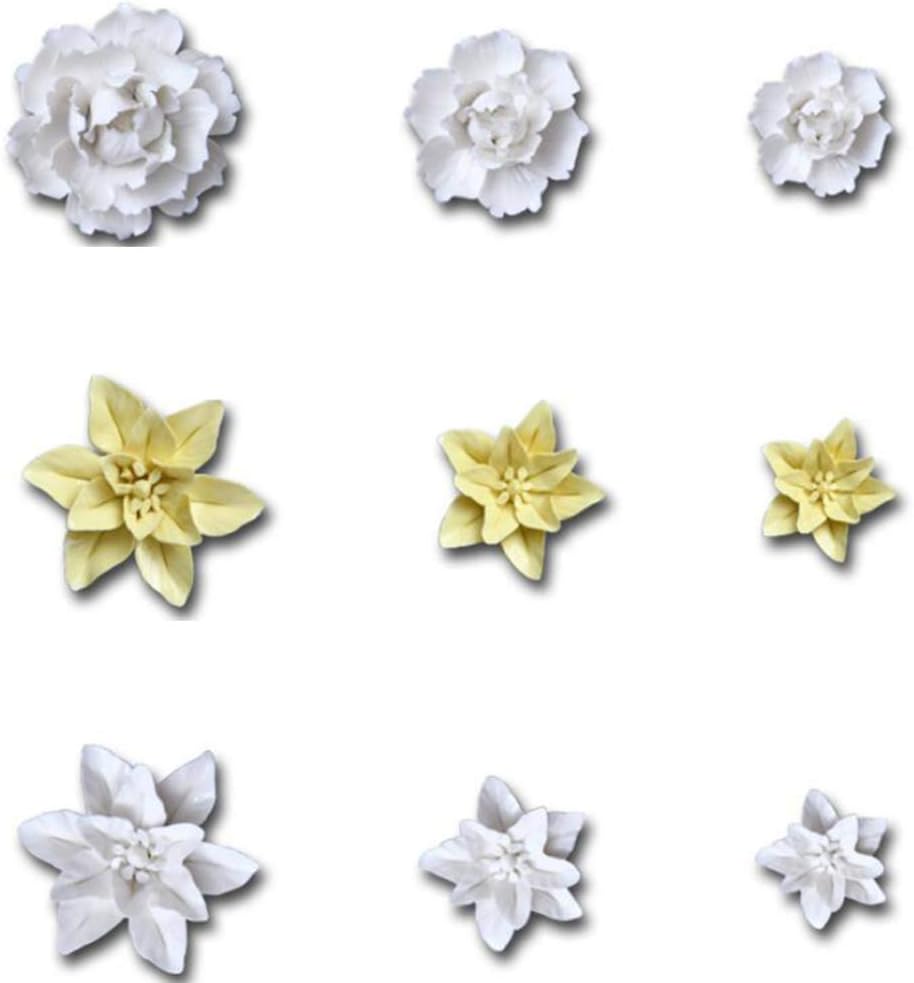 VOSAREA Arte de pared de cerámica blanca Ative para colgar en la pared, delicado colgante de pared para oficina (blanco, tamaño grande)