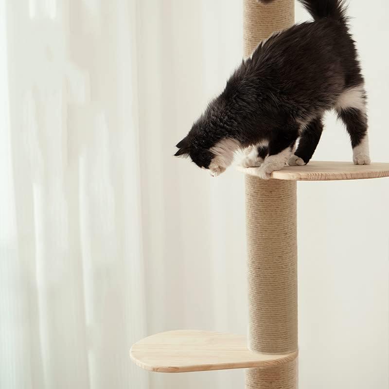 Torre de árbol de madera para gatos de piso a techo para gatitos y gatos grandes con postes rascadores de cuerda de sisal natural, altura de la base