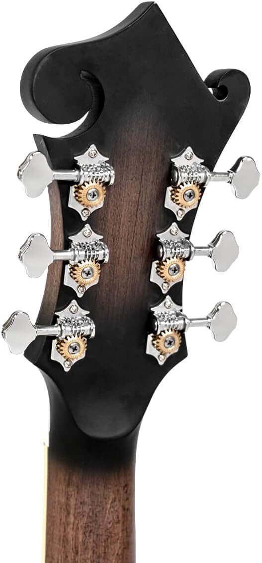Gold Tone, Mandolina de 6 cuerdas, Sunburst (F-6)