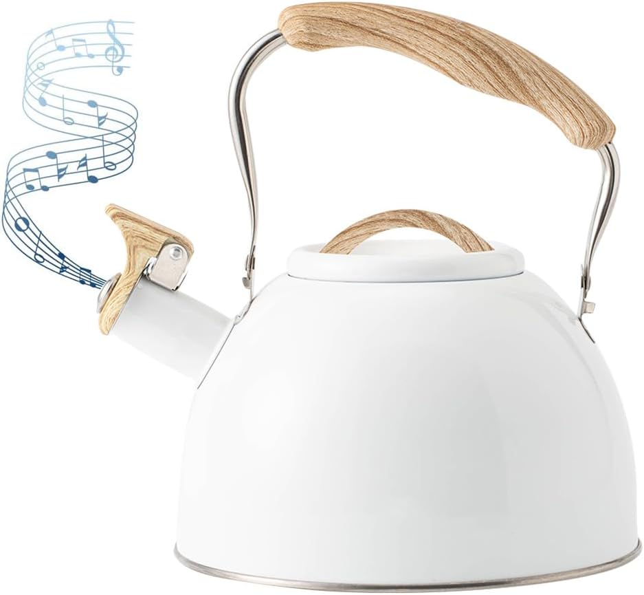 Tetera quirúrgica de acero inoxidable de 3 L con mango ergonómico de tacto fresco, tetera de acero inoxidable con mango frío, también para estufa de