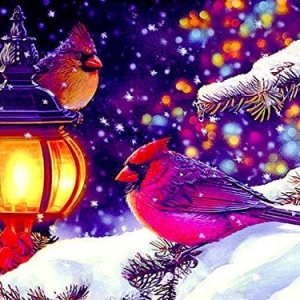 Staroar Kits de pintura de diamantes 5D para adultos redondos con AB y diamantes de imitación de cristal – Cardenales 51x40CM Art Craft Diamond Art Staroar Kits de pintura de diamantes 5D para adultos redondos con AB y diamantes de imitación de cristal – Cardenales 51x40CM Art Craft Diamond Art