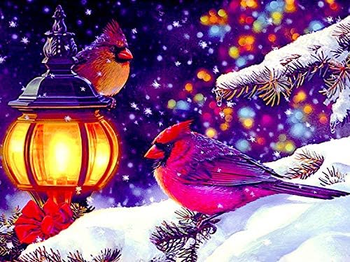 Staroar Kits de pintura de diamantes 5D para adultos redondos con AB y diamantes de imitación de cristal – Cardenales 51x40CM Art Craft Diamond Art