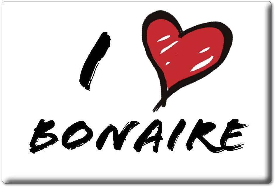 BONAIRE IMÁN DE FRIGORÍFICO GEORGIA (GA) IMANES USA SOUVENIR I LOVE GIFT (Var. INFORMAL)