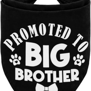 Bandana para perro, promovida a hermano mayor, bufanda para perro, impresión clásica negra, accesorios para bufanda para perro, bufanda para perro, Bandana para perro, promovida a hermano mayor, bufanda para perro, impresión clásica negra, accesorios para bufanda para perro, bufanda para perro,