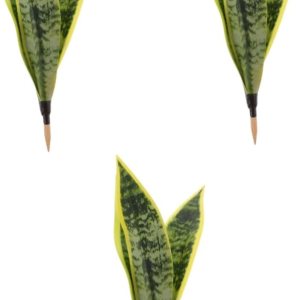 ibasenice 3 piezas de plantas artificiales de piranha de tigre, arbusto, decoración de casa para el hogar, Sansevieria artificial, plantas de ibasenice 3 piezas de plantas artificiales de piranha de tigre, arbusto, decoración de casa para el hogar, Sansevieria artificial, plantas de