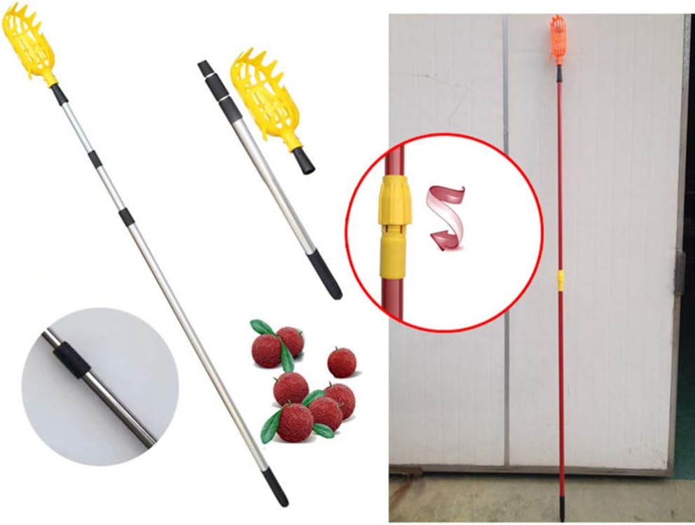 Hemoton 2 unids Recogedor de Frutas Stick Acero Inoxidable Tuercas Recogedor de Frutas Cesta Recolector de Frutas Herramienta Recogedor de Frutas
