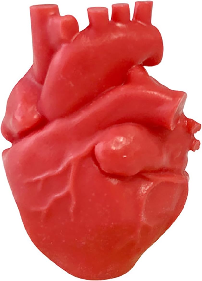 Molde de vela de órgano, molde de corazón, molde de vela cerebral, molde de resina de órgano, molde de arcilla, molde de fundición de resina para