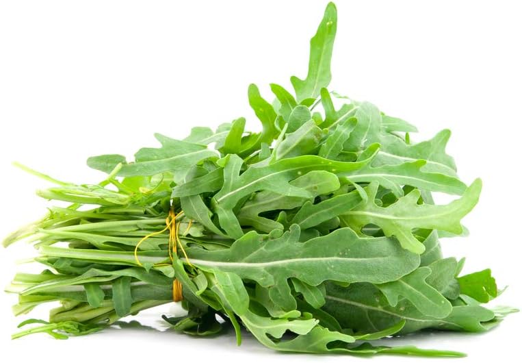 Semillas “Roquette Rúcula” para plantar, más de 1000 semillas tradicionales por paquete, semillas sin OMG, (semillas de jardín de Isla), nombre