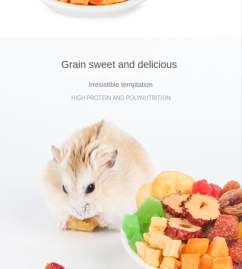 Hámster, erizo, lagarto, rana, pájaro, erizo, aperitivo, nutritivo, alimento para animales pequeños